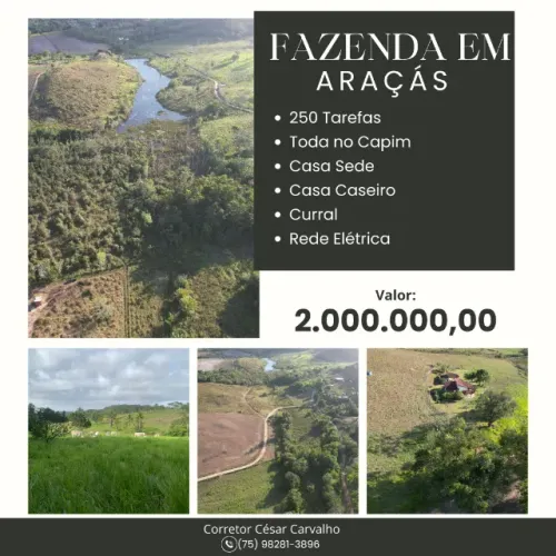 FAZENDA EM ARAÇÁS - 250 TAREFAS