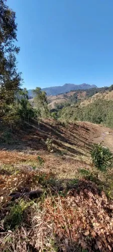 Chácaras de 20.000m² com Vista Incrível em Marmelopolis-MG