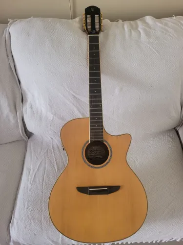 Violão Tagima TW27 woodstock 