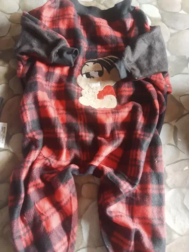 Roupinhas para cachorro novos 