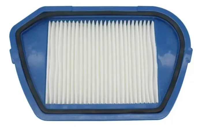Filtro Hepa Para Aspirador De Pó Arno Compacteo Ergo Cyclonic Animal care