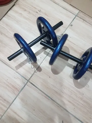 Halteres academia