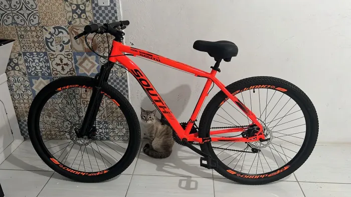 BICICLETA SOUTH STORM LARANJA ARO 29