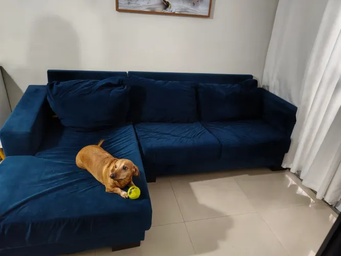 Vendo sofá Suede azul muito confortável + rack e painel de brinde.