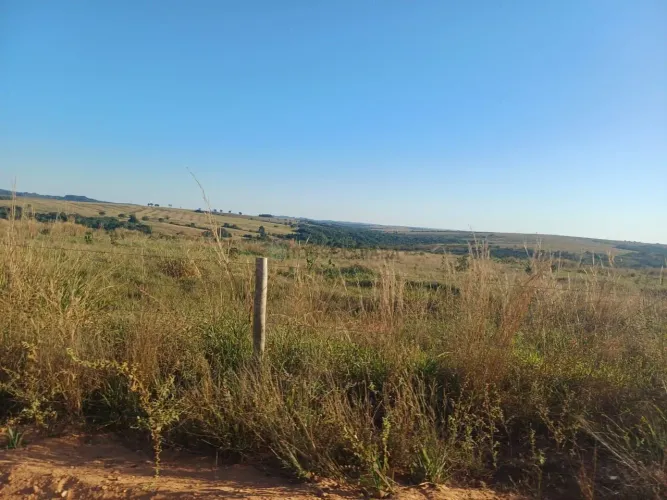 Vendo fazenda 497 hectares com alto potencial agrícola Itiquira MT