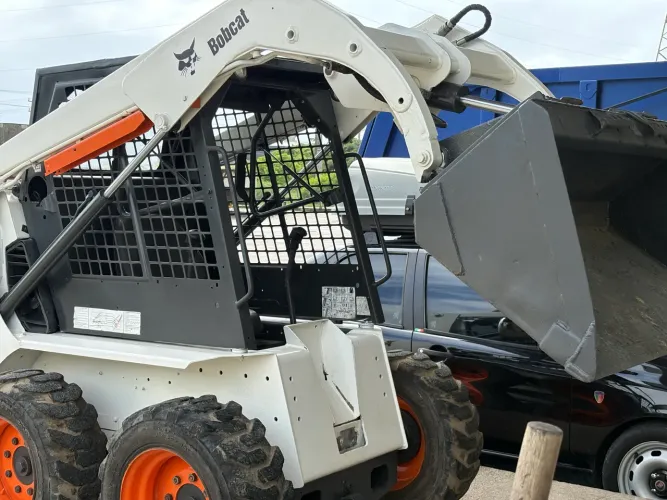 Bobcat
