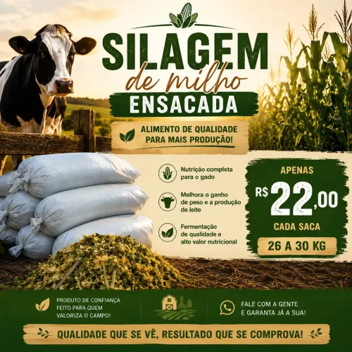 Silagem de milho ensacada