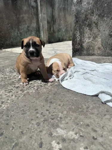 Vende-se