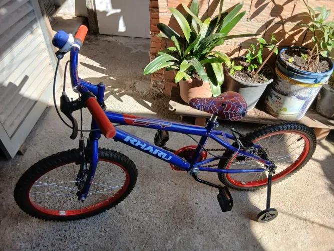 Bicicleta