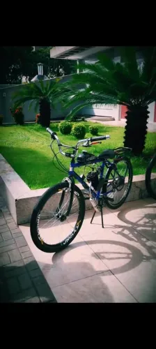 MOTORIZADA 80CC