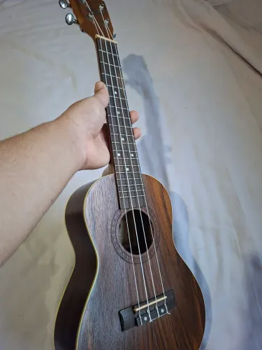 Ukulele Shelby concert