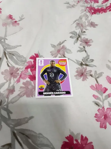 Figurinha extra sticker Moisés caicedo 2026 roxo e figurinha extra sticker 2022 bellingham