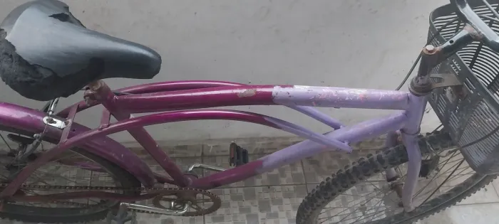 Bicicleta adulto