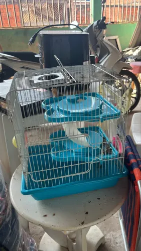 vende-se gaiola de hamster