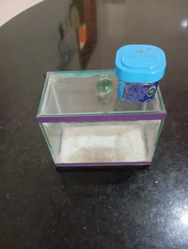 Aquário para betta