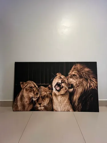 Quadro (Leão) 