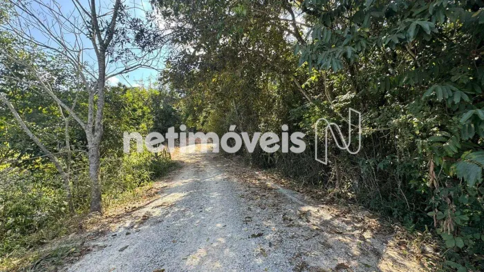 Venda Chácara Tapera Florestal