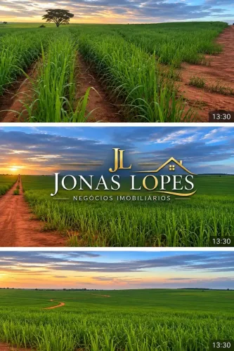 Fazenda 168 Alqueires em Cana - Guairaçá - Paraná