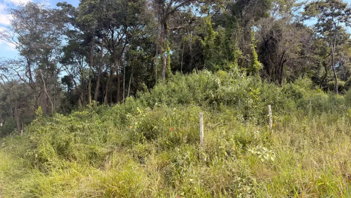 Lote Tupã Contagem barato 