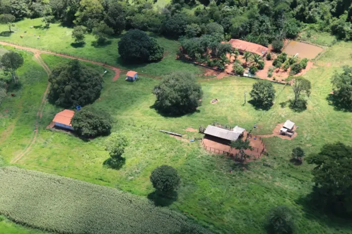 FAZENDA À VENDA  8 ALQUEIRES  TAGUARAL/GO