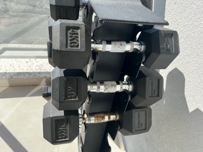Kit Halteres 4kg, 6kg e 12kg + Suporte Evolution Pro - Completo
