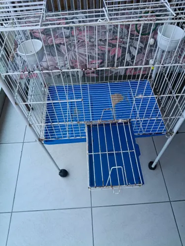GAIOLA VIVEIRO PARA PAPAGAIO 