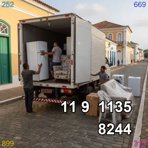 frete bau com ajudantes disponíveis