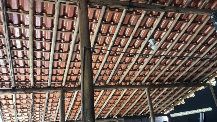 Telhado completo com telhas novas e eucaliptos