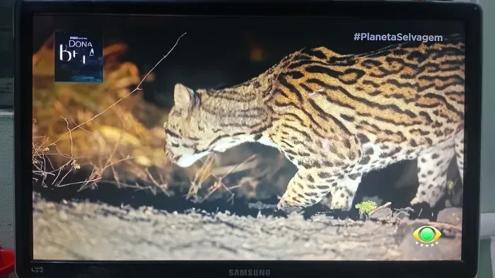 Tv monitor Sansung