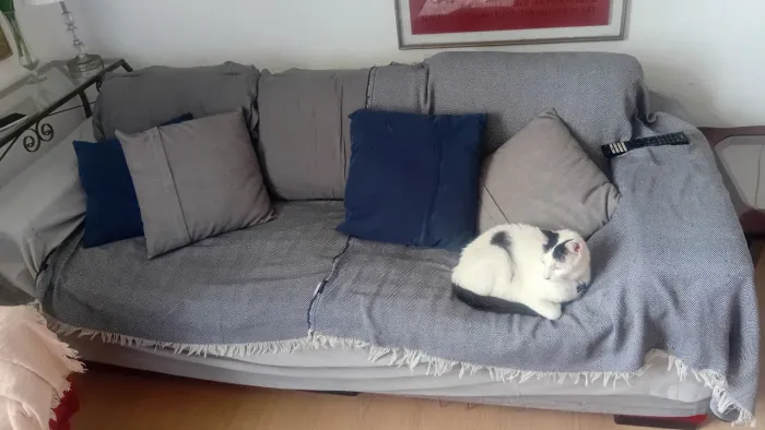 Sofa 3 lugares