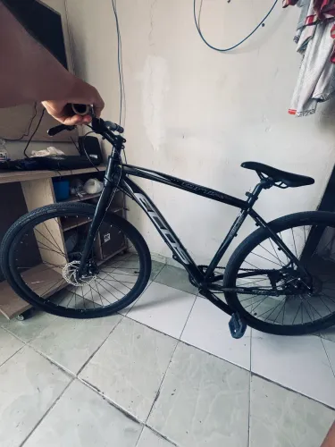 ARO 29