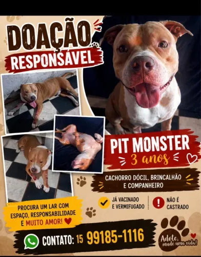 Doa-se Pit Monster