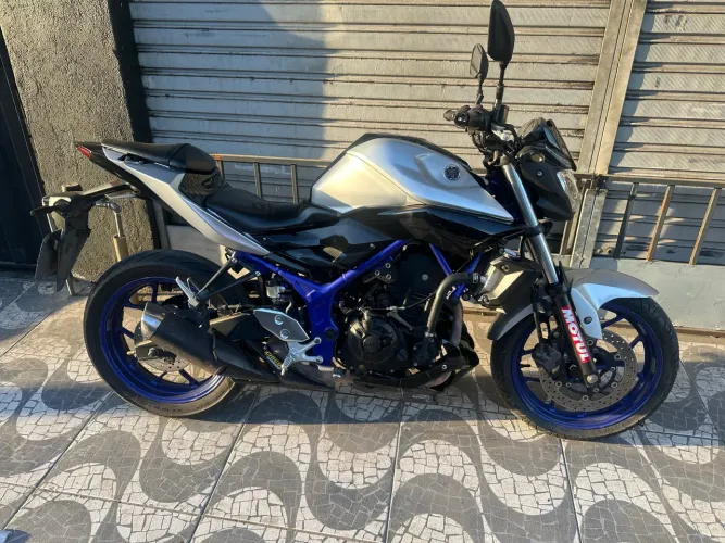 Mt03