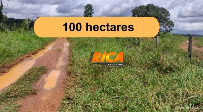 Vende-se Fazenda, com 100 hectares na área Rural de Porto Velho/RO