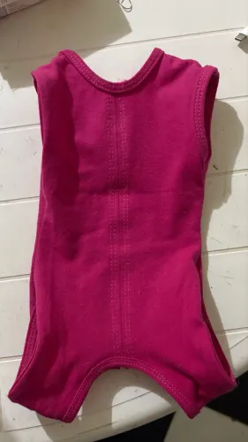 Roupa pós cirúrgica pet