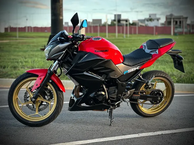 Kawasaki Z300 2018