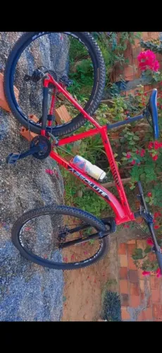 Bicicleta Absolute