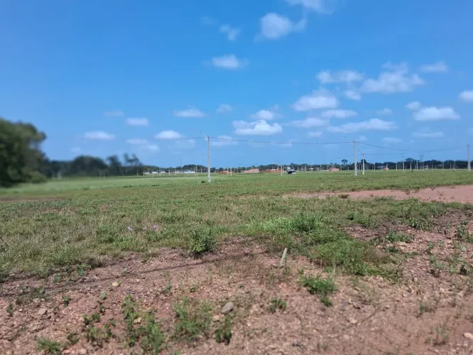 Terreno em NOVA BENEVIDES