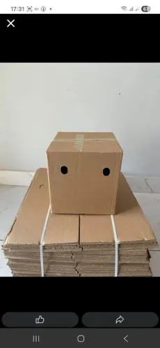 Caixas de papelão 