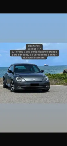 Volkswagen Fusca 2.0 TSI 16V Aut. 2013