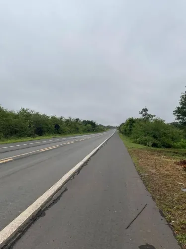 Terreno às margens da BR 343 a 13km de Campo Maior