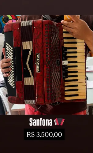 Acordeon Michael 