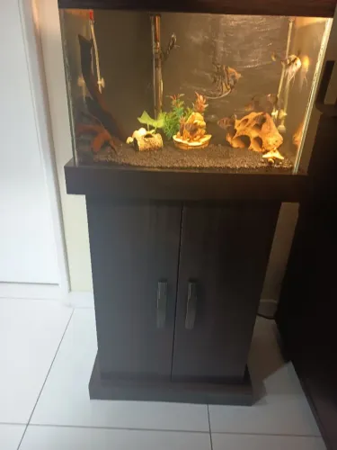 Aquário com móvel  60 litros R$600