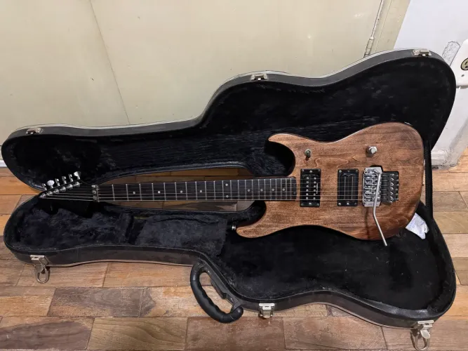 Washburn N2 - Upgrades Premium | Trastes Inox | Pintura Exclusiva
