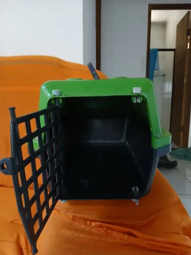 Caixa de gato
