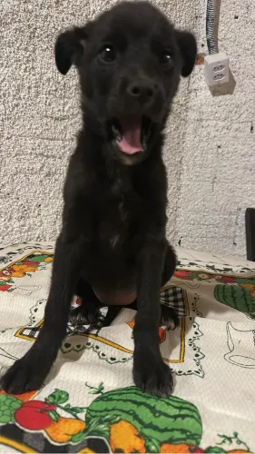 Doação