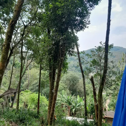 Imóvel localizado em Rio Grande da Serra. legalizado na prefeitura com IPTU tudo em dia