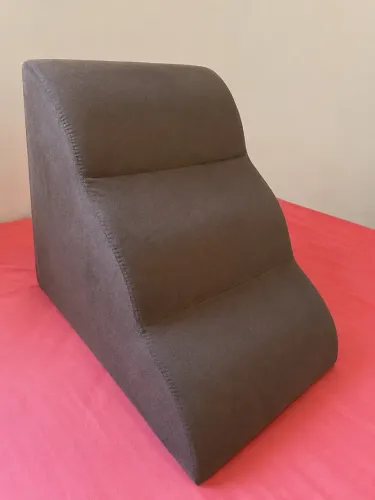 Rampa pra pet 