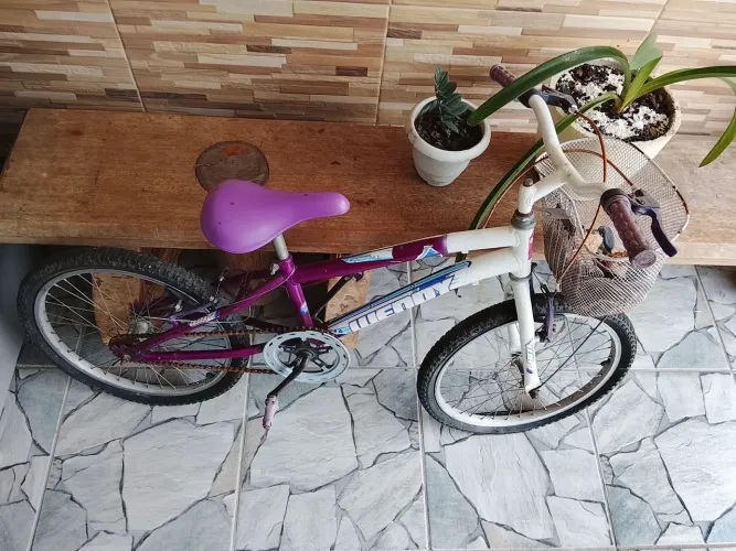 Bicicleta infantil aro 20