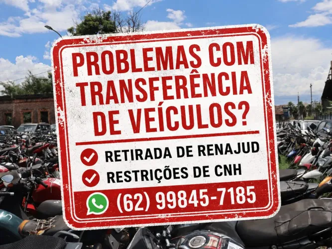 Despachante - Goias Detran